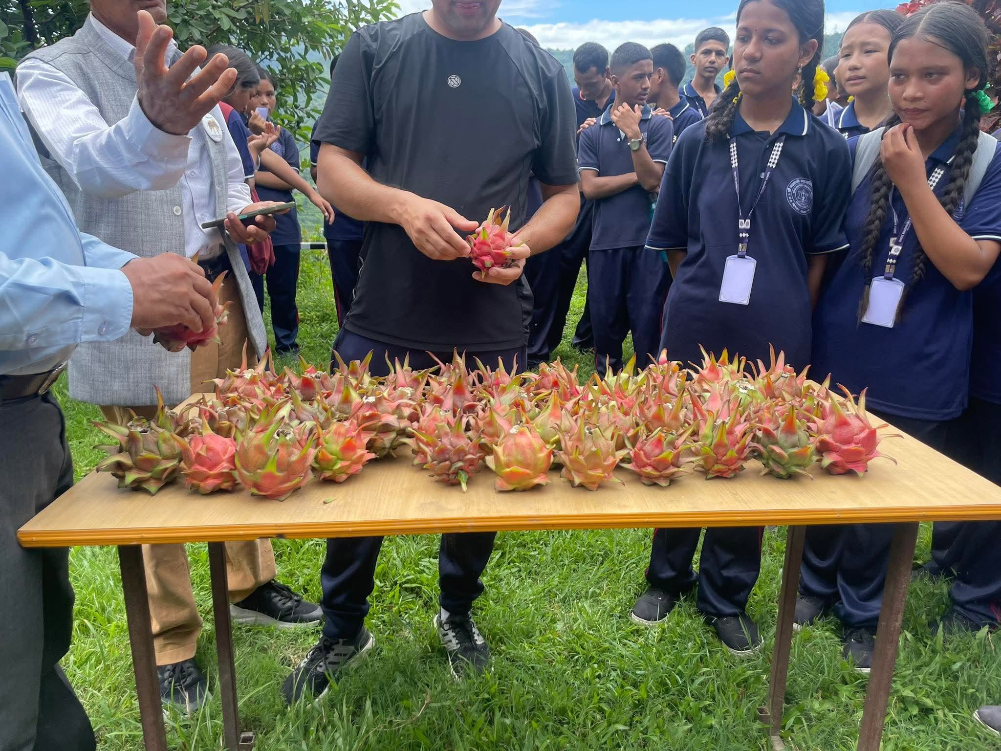 Students learning about Dragon Fruit